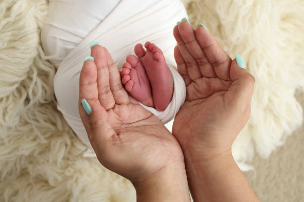 Feet of the newborn on the palms of the parents. The palms of the father and mother are holding the foot of the newborn baby in a white flokati blanket. Photography of a child's toes, heels and feet.